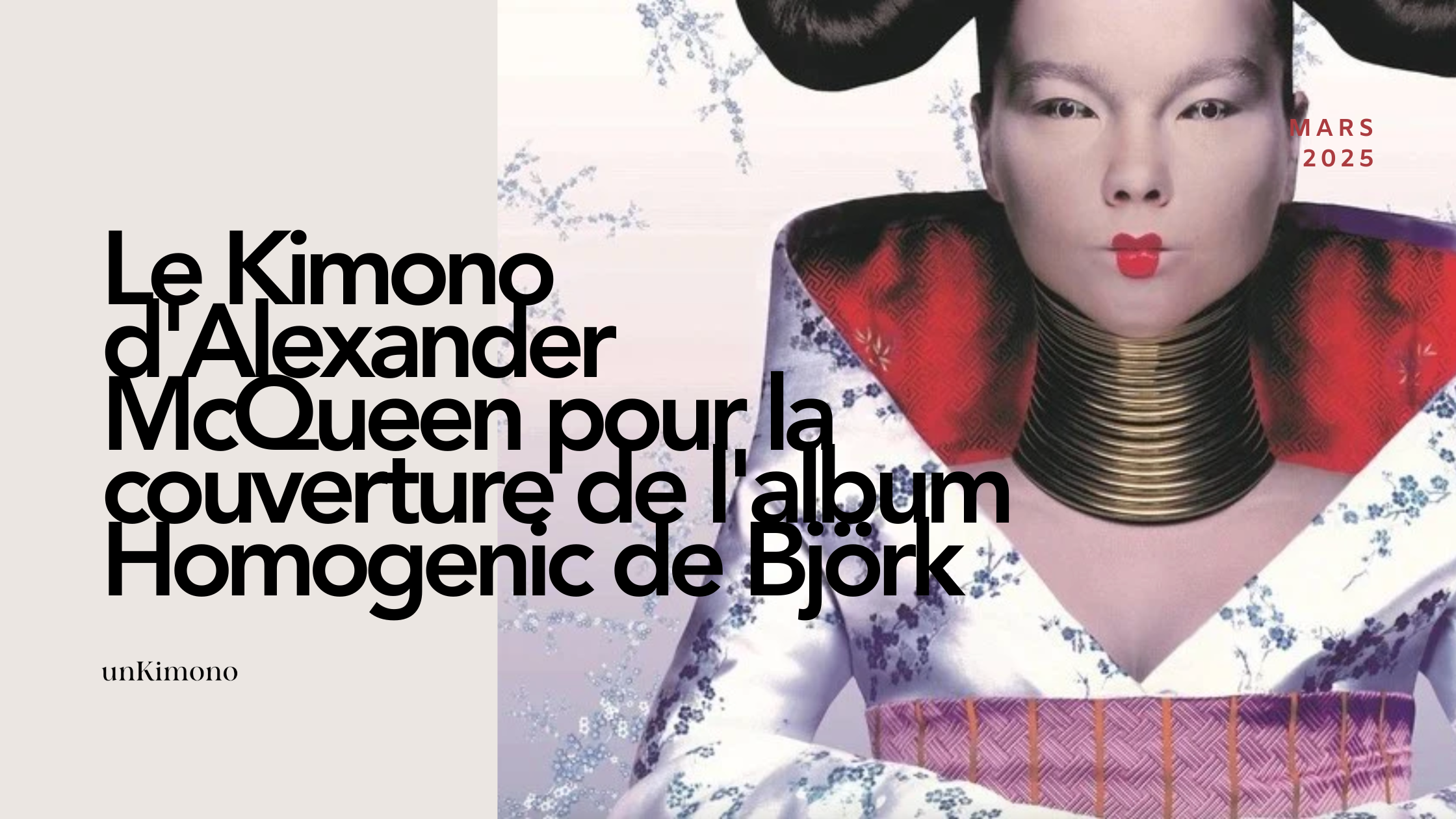 Le Kimono d'Alexander McQueen pour la couverture de l'album Homogenic de Björk